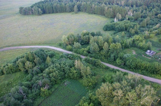 Мистический лес в деревне Брик-Алга