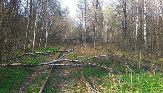 Лосиноостровский треугольник в России