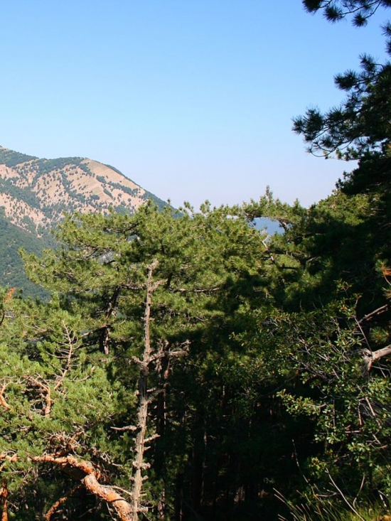 Долина приведений в Крыму