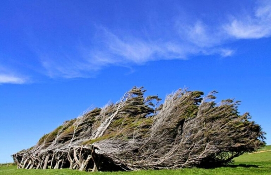 Слоуп-Пойнт - ветреное место