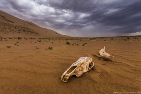 Пустыня Гоби